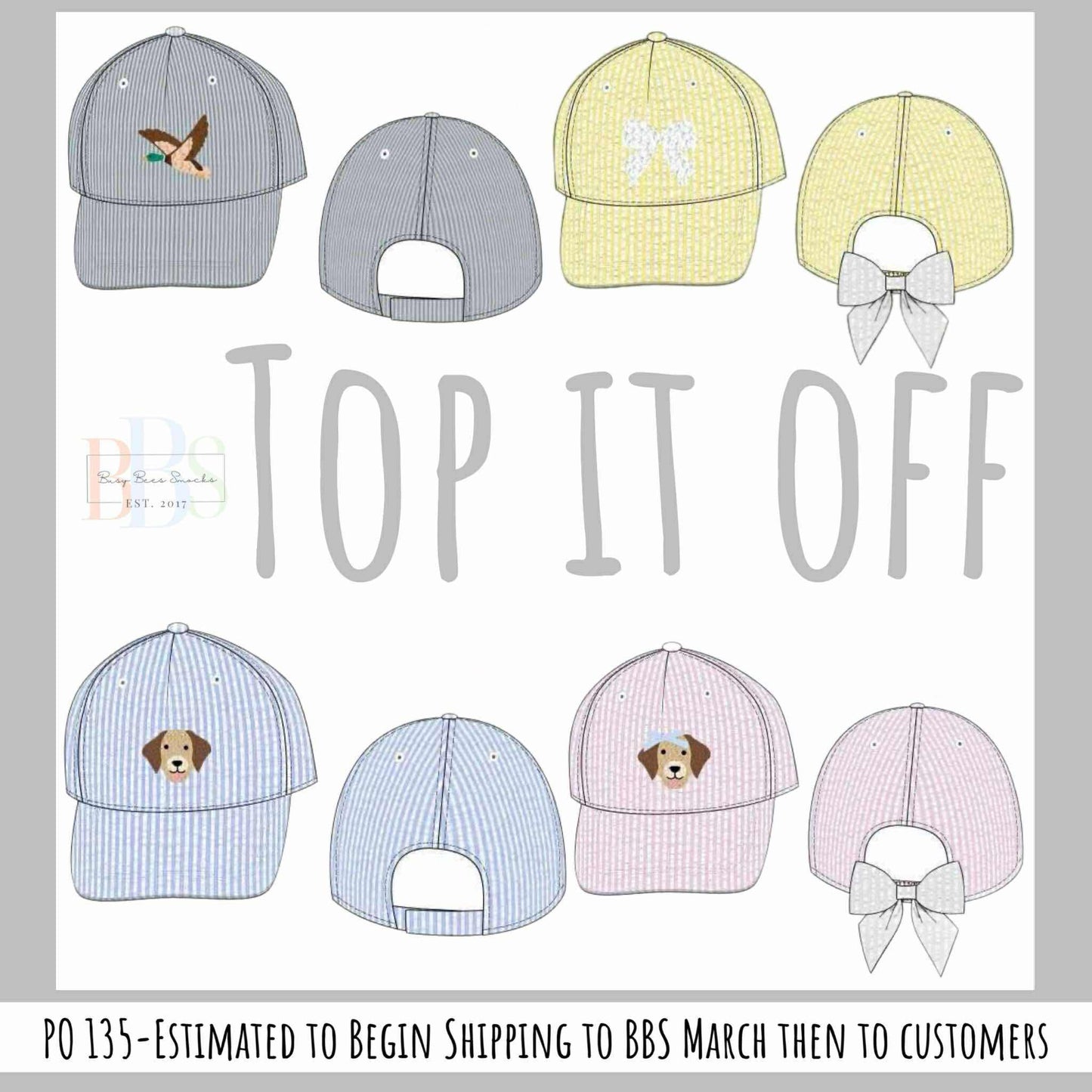 Pre Order 135: Top It Off- Boys French Knot Puppy Ball Cap