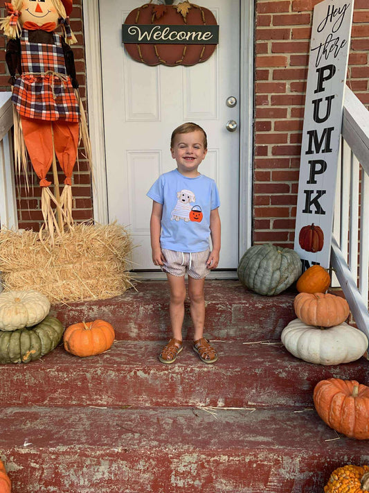 RTS: Halloween Shirt Only- Boys Mummy Hank