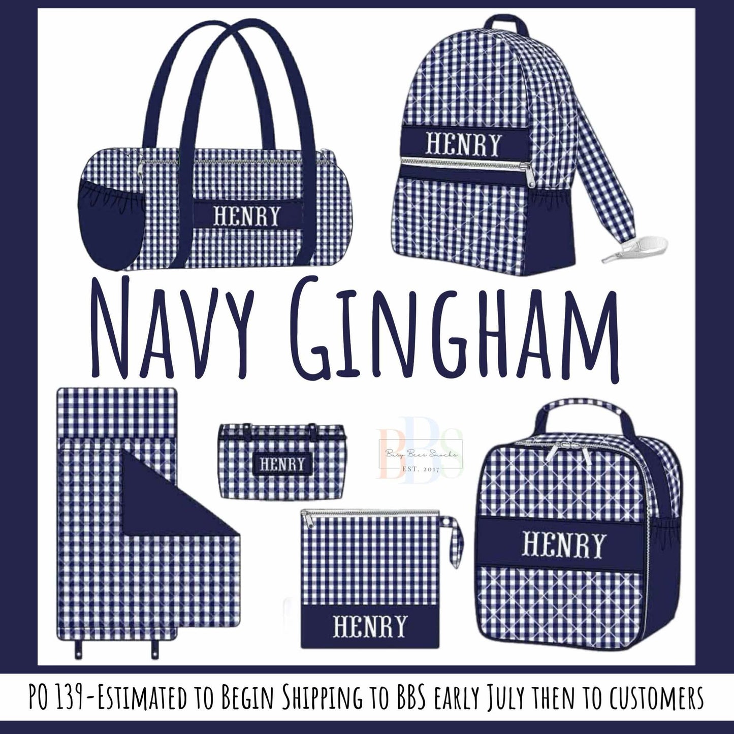 Pre Order 139: Navy Gingham- Everything Bag