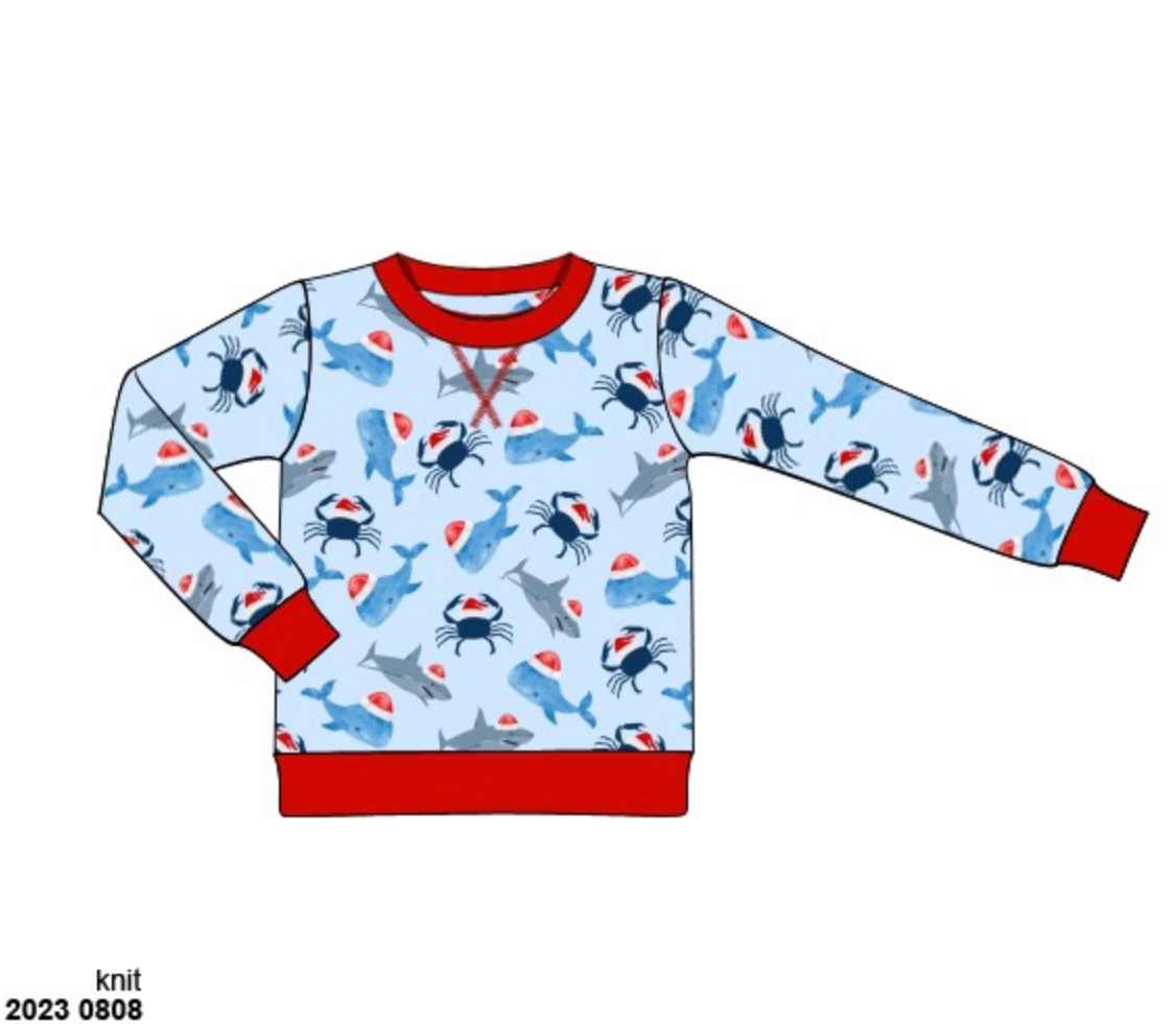 RTS: Coastal Christmas- Boys Knit Pullover