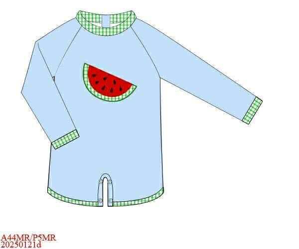 Pre Order 136: Slice of Summer- Boys Rashguard 1pc Swimsuit