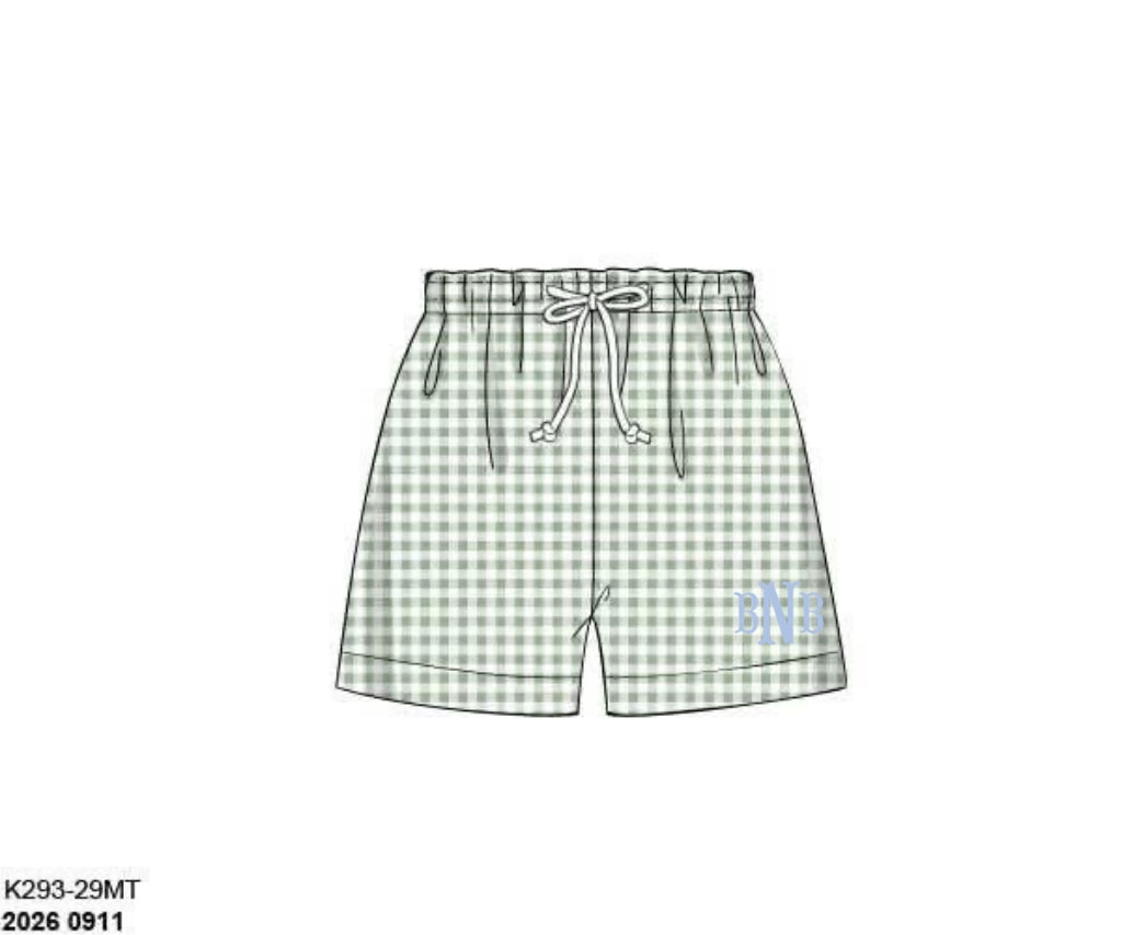 Pre Order 149: Family Swim- Dad/Mini Woven Traditional Swim Shorts