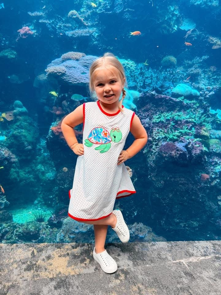 RTS: Tides & Turtles- Girls Knit Appliqué Dress