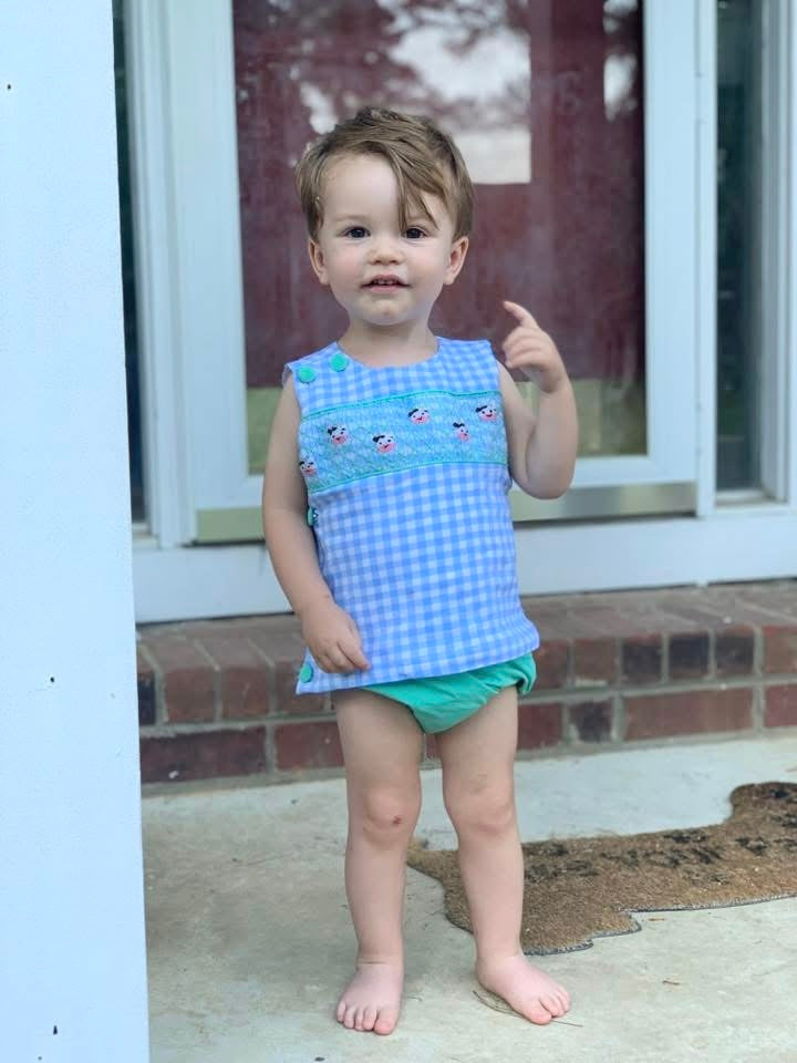 Pre Order 139: Geo Smocked Cows- Boys Diaper Set