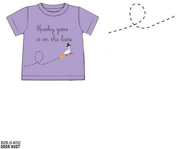 RTS: Halloween Shirt Only- Boys Witchy Goose Shirt