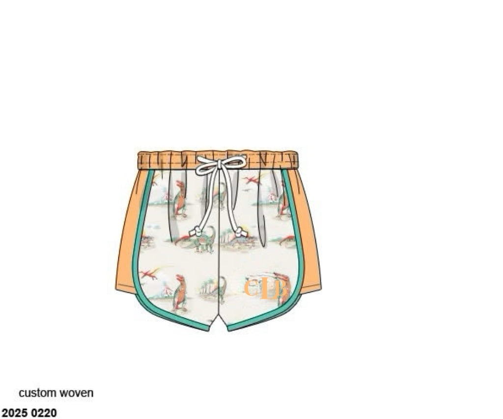 RTS: Vintage Dinos- Boys Woven Swim Shorties "CLB"