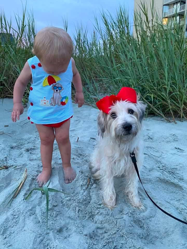 Throwback Pre Order: Beach Puppy- Boys Knit Diaper Set