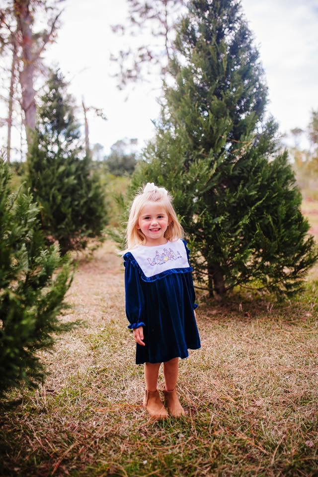 RTS: Blue Velvet Nativity- Girls Embroidered Dress