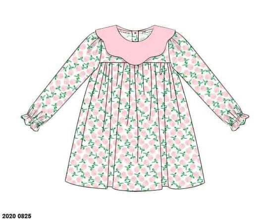 RTS: Flower Train- Girls Knit Dress