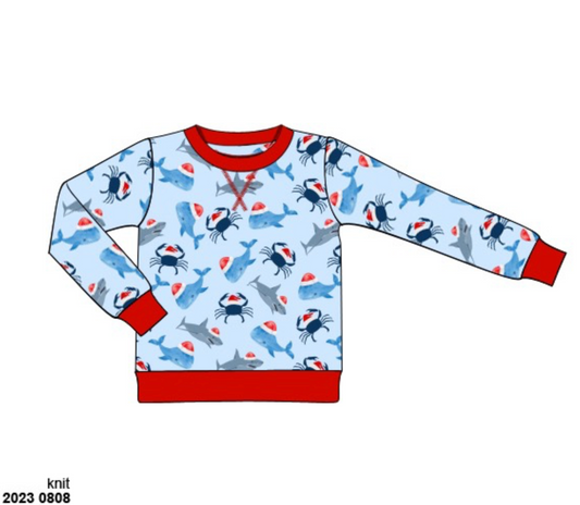 RTS: Coastal Christmas- Boys Knit Pullover